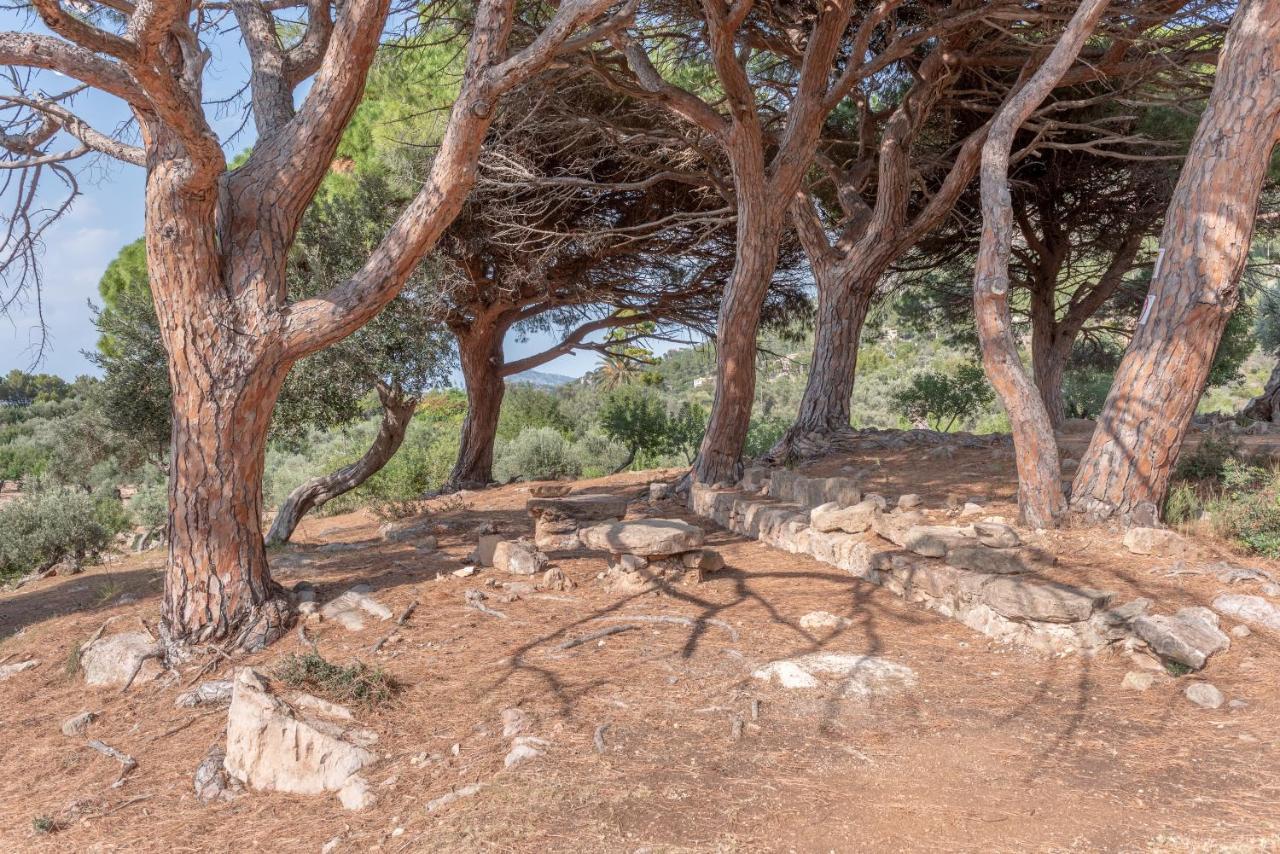 Deia Semi-Detached Sunny Country House, Near Gr221 Exterior foto